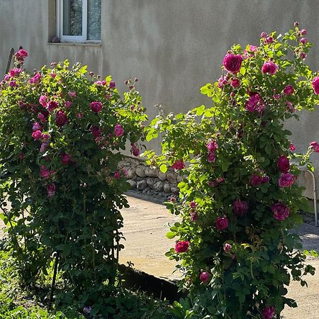 Baqari Inn カズベギ エクステリア 写真